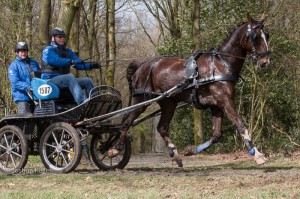 oefenmarathon 2016 MG 0231-0231 